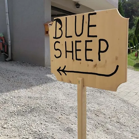 Blue Sheep 公寓